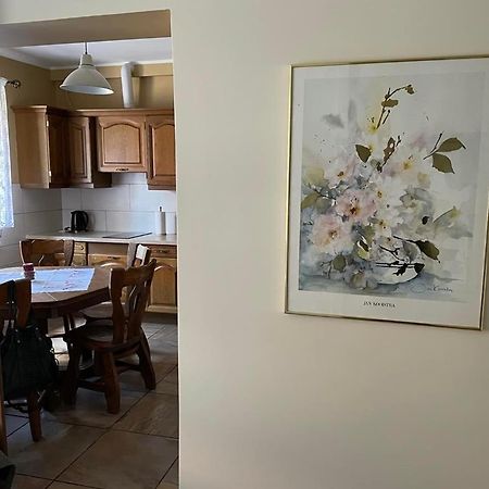 Apartamenty Jaskinia Solna 루다 실롱스카 외부 사진