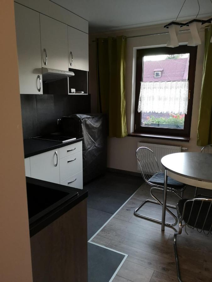 Apartamenty Jaskinia Solna 루다 실롱스카 외부 사진