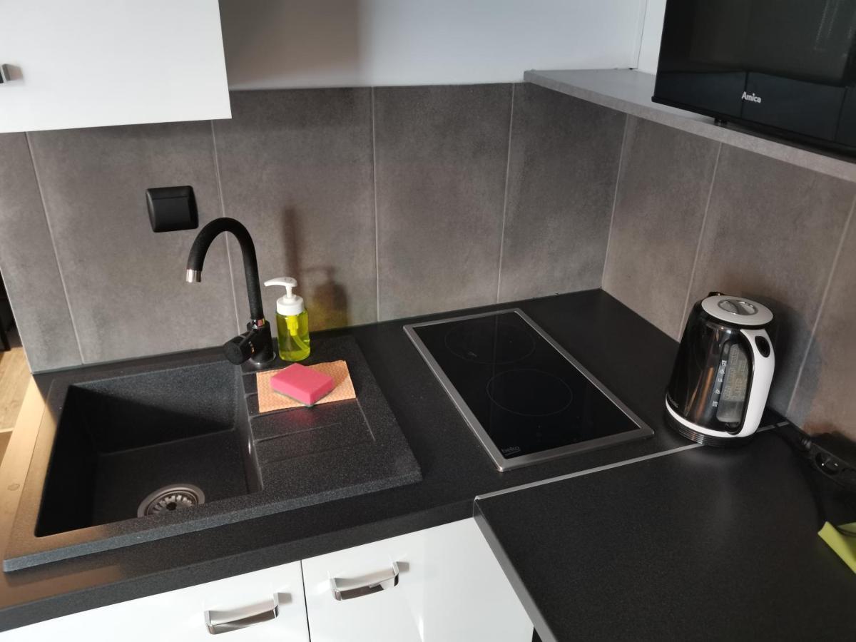 Apartamenty Jaskinia Solna 루다 실롱스카 외부 사진